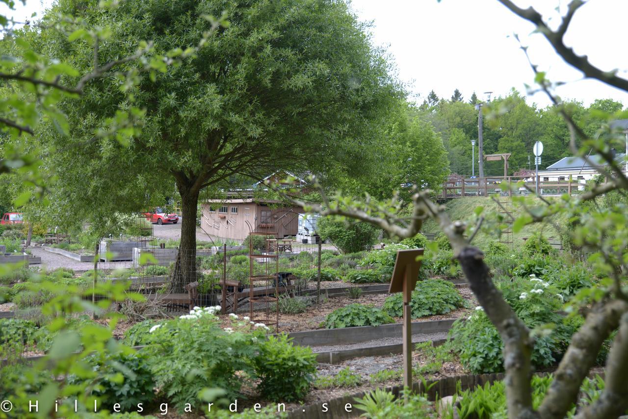 מלון Boarp Hillesgarden מראה חיצוני תמונה